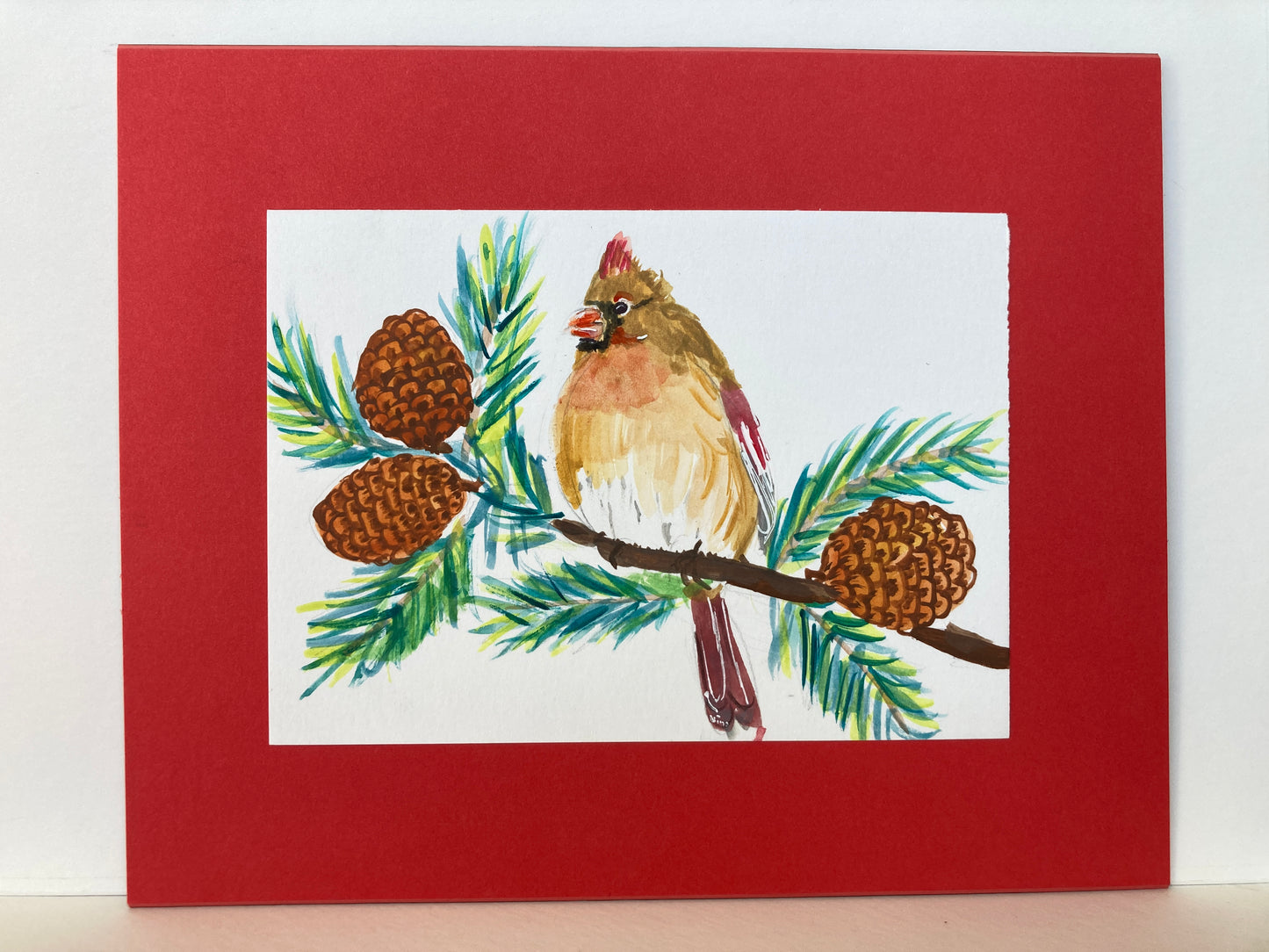 Lady Cardinal Pine